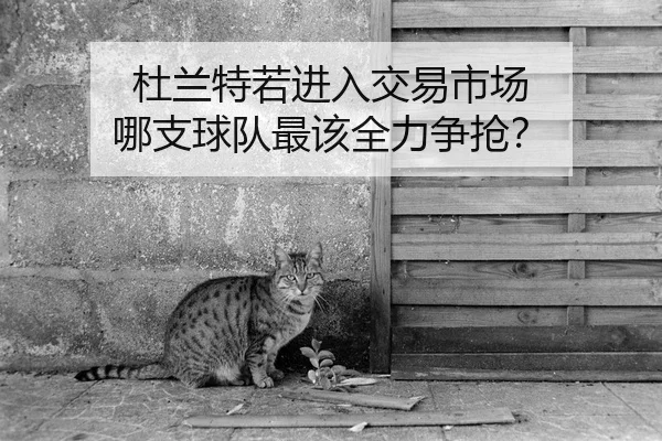 杜兰特若进入交易市场 哪支球队最该全力争抢？