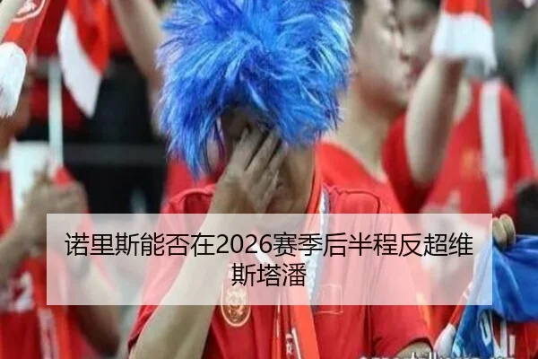 诺里斯能否在2026赛季后半程反超维斯塔潘